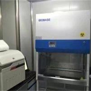 鑫贝西BIOBASE二级生物安全柜BSC-1100IIA2-X价格